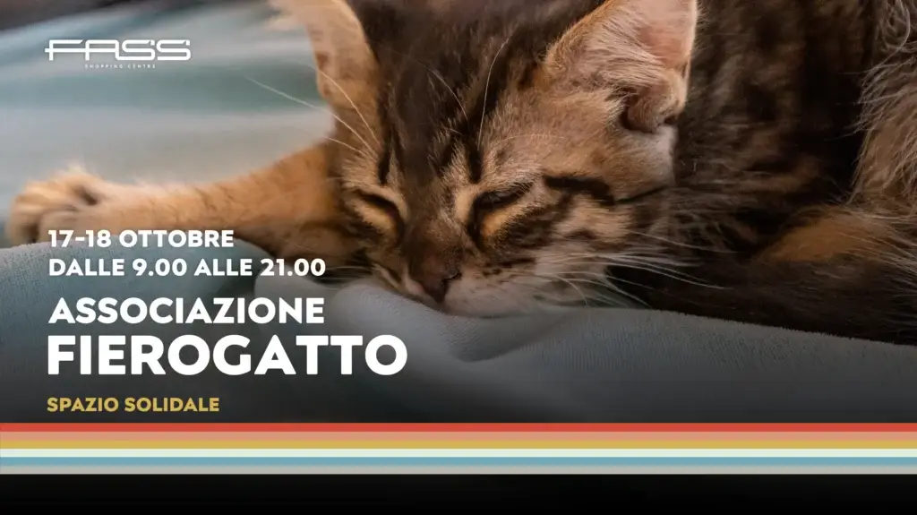 Fierogatto FASS Elmas